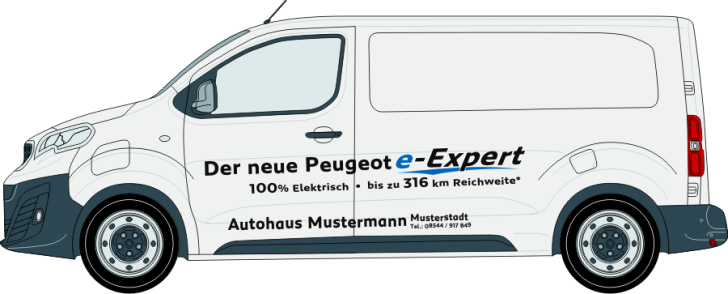 Expert & e-Expert