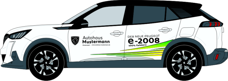 2008 & e-2008