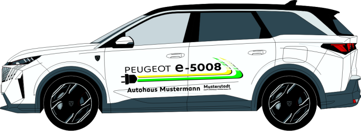 e-5008