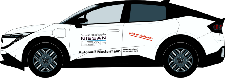 Nissan Leaf Nr 3296