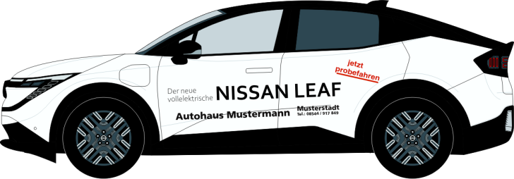 Nissan Leaf Nr 3298